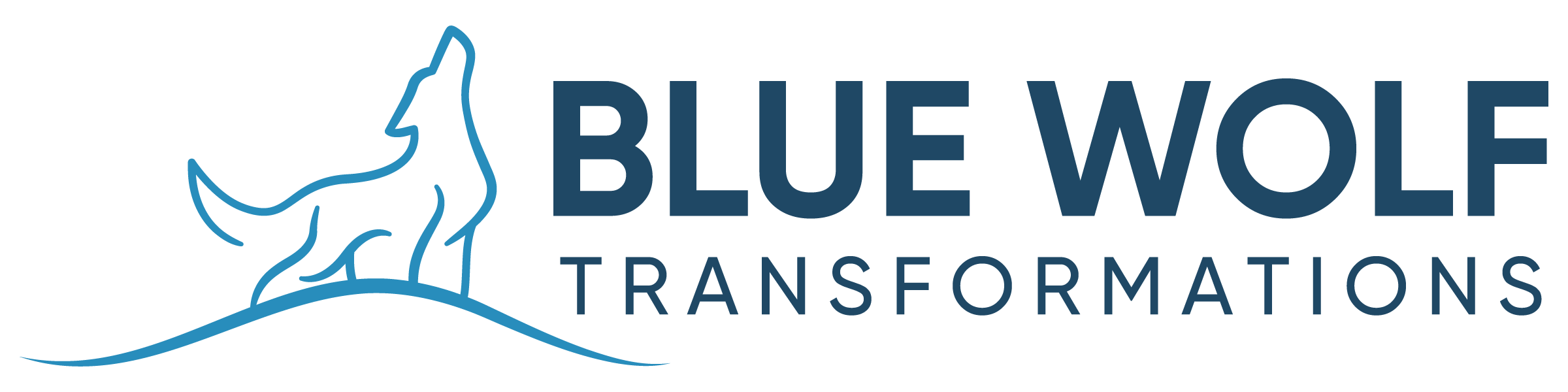 Blue Wolf Transformations